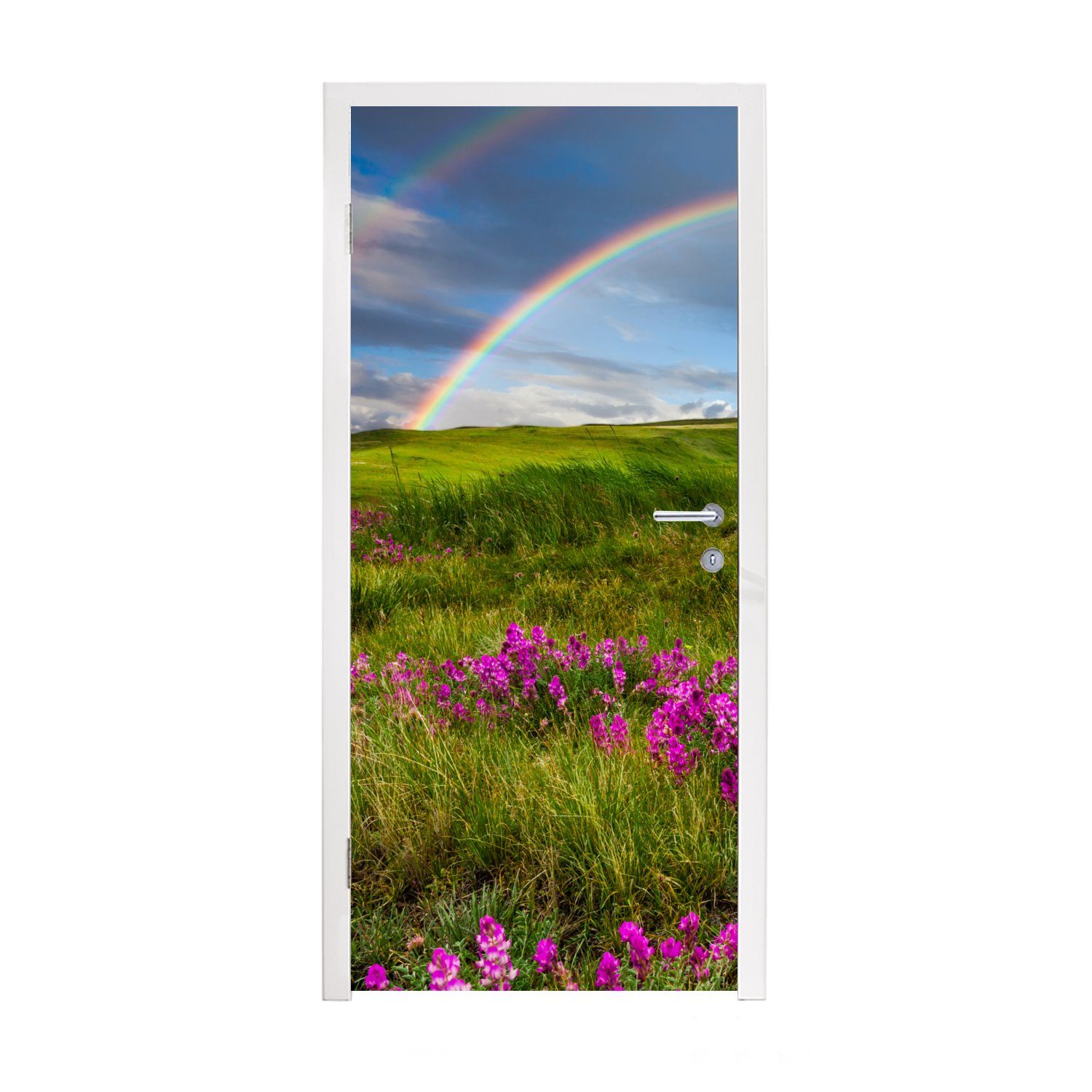 Abzug MuchoWow Türtapete Regenbogen - Tür, 75x205 (1 Matt, cm für Türaufkleber, Fototapete Heidekraut, St), Blumen bedruckt, 