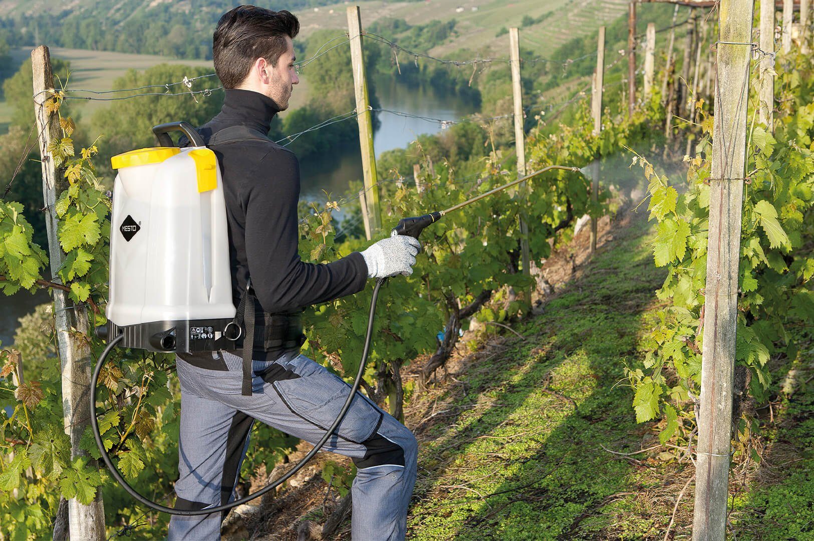 MESTO Drucksprühgerät Mesto RS185 3558