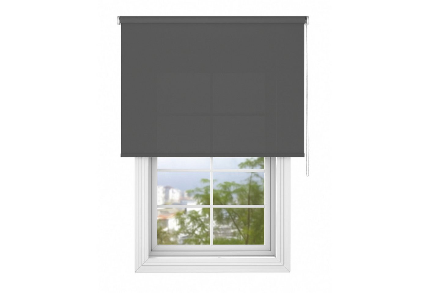 Seitenzugrollo Tageslicht-Rollo Basic GL, Deco-Raum, blickdicht, Wand- und Deckenmontage, einfache Selbstmontage, zum Schrauben, lichtdurchlässig & blickdicht, stufenlos, einfache Montage