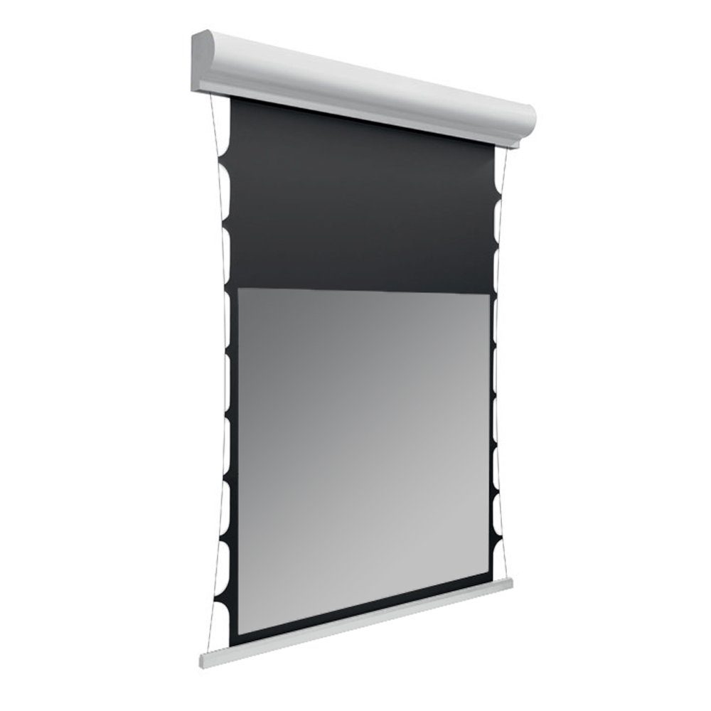 Deluxx Cinema - Dayvision ALR Motorleinwand