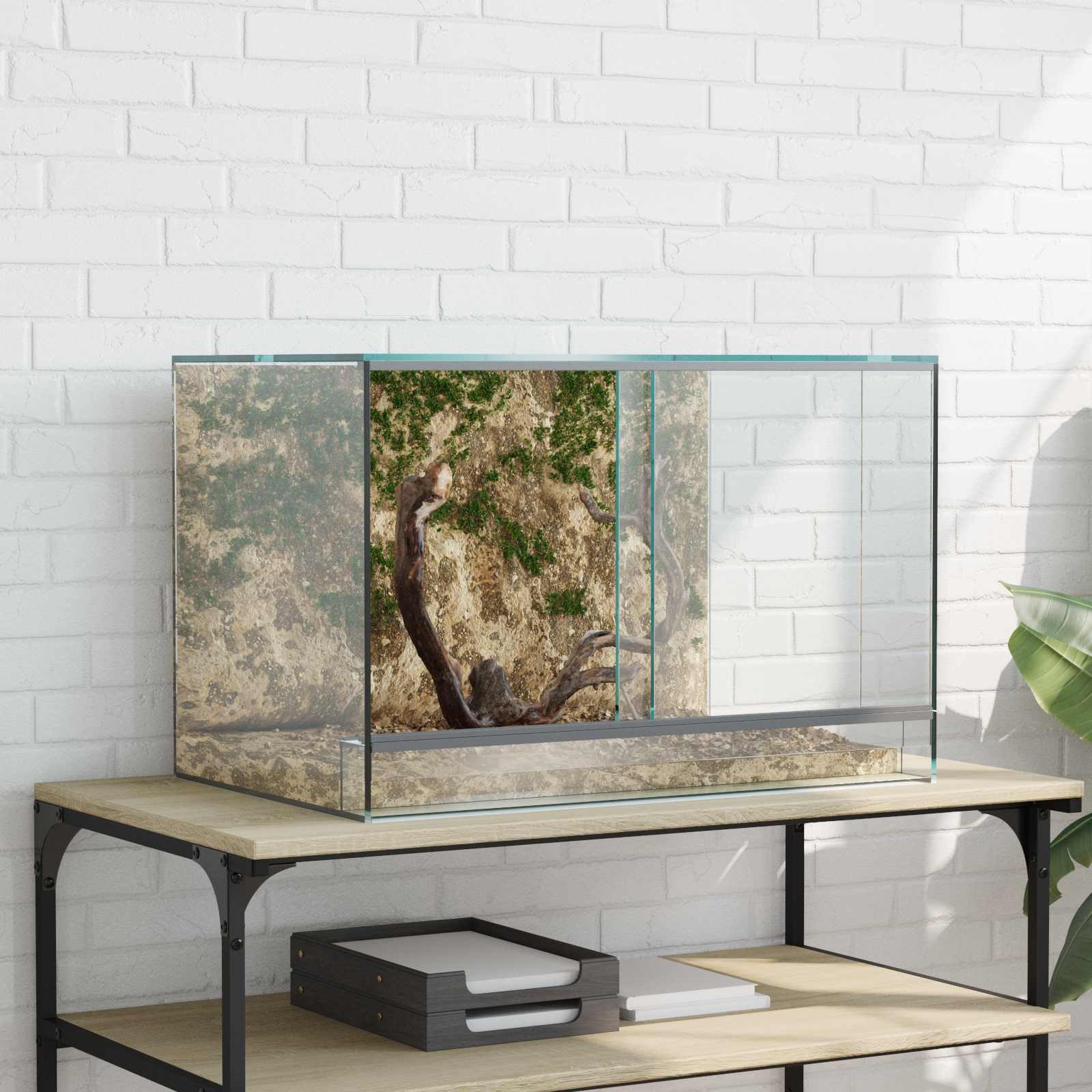 vidaXL Terrarium Terrarium mit Speicher Transparent 60 x 40 x 40 cm Glas