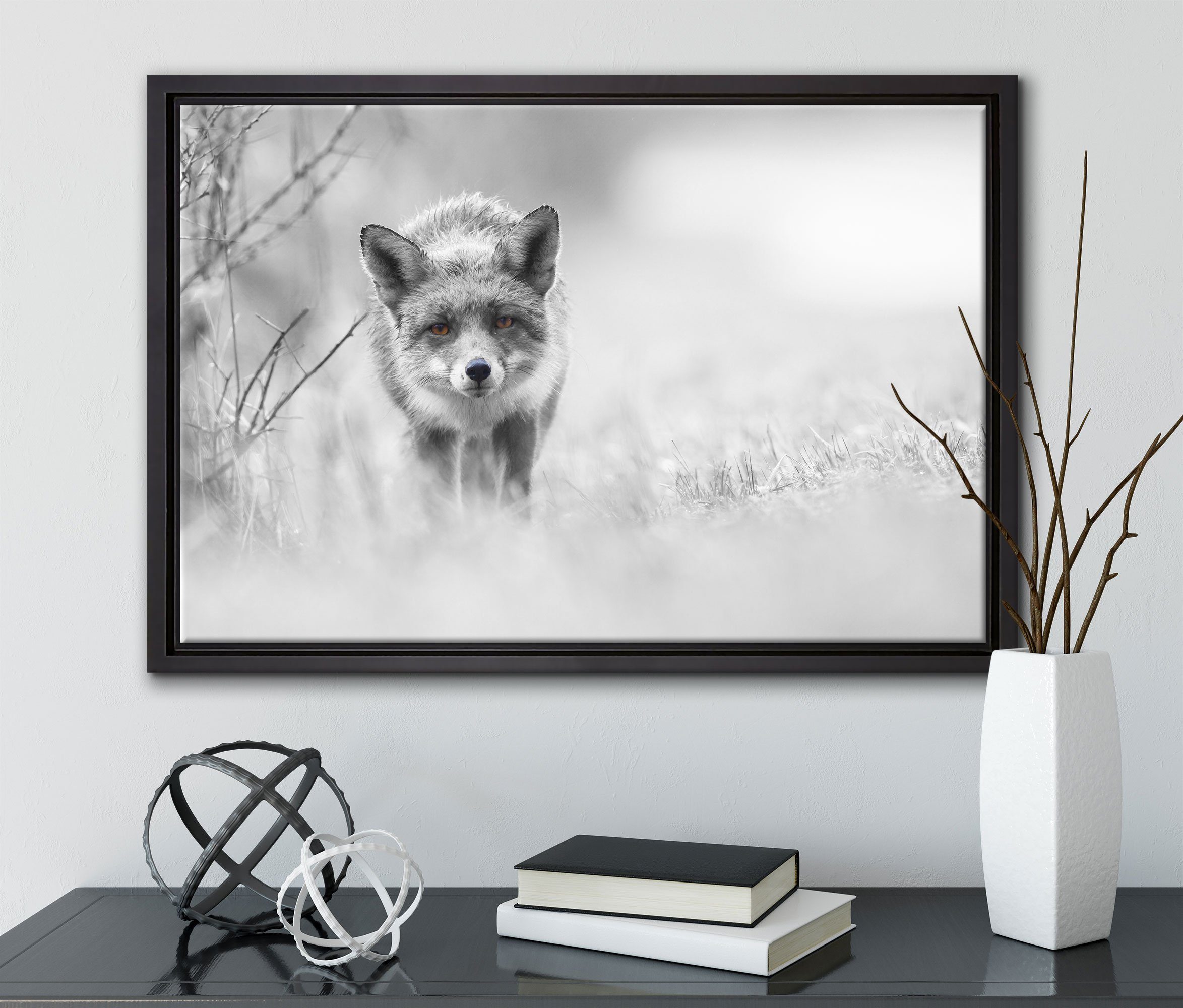 gefasst, hübscher schleichender Fuchs, Leinwandbild einem in inkl. Zackenaufhänger (1 Wanddekoration fertig bespannt, Schattenfugen-Bilderrahmen St), Pixxprint Leinwandbild