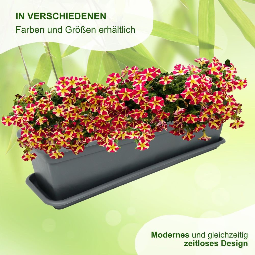 Pflanzenkasten Anthrazit 2-tlg. - 40 cm + MePla - - Kunststoff aus Pflanzentopf - Untersetzer Balcony UV-beständigem Balkonkasten Blumenkübel wetterfest Balkonkasten Set Heimwerkercenter