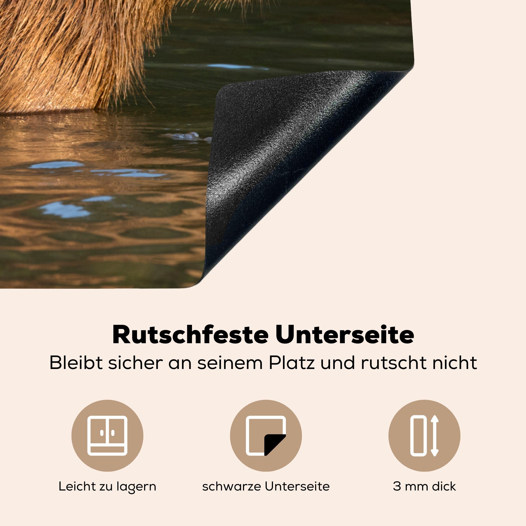 Wasser, 81x52 Vinyl, die cm, im (1 Induktionskochfeld tlg), Ceranfeldabdeckung für küche, steht Ein MuchoWow Capybara Herdblende-/Abdeckplatte Schutz