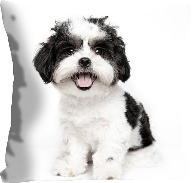 Kissenhülle »Malteser«, queence (1 Stück), mit einem Malteser Hund-Otto