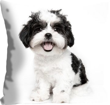 queence Dekokissen Malteser, mit einem Malteser Hund, Kissenhülle ohne Füllung, 1 Stück