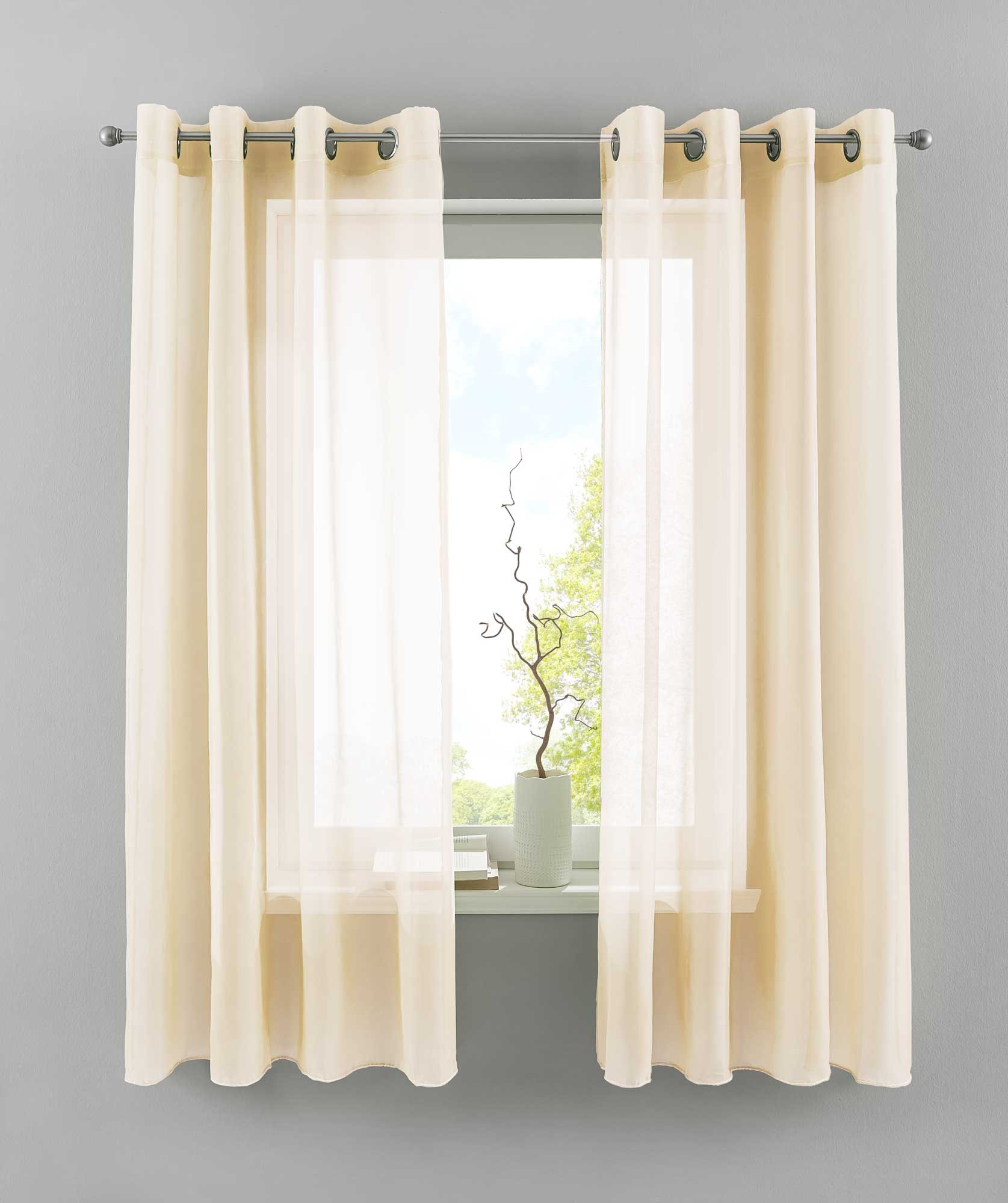 Gardinenbox Gardine (2 St), Ösen, transparent, Voile, 2er Set Transparent »Basel« Bleiband Store 20332TR2