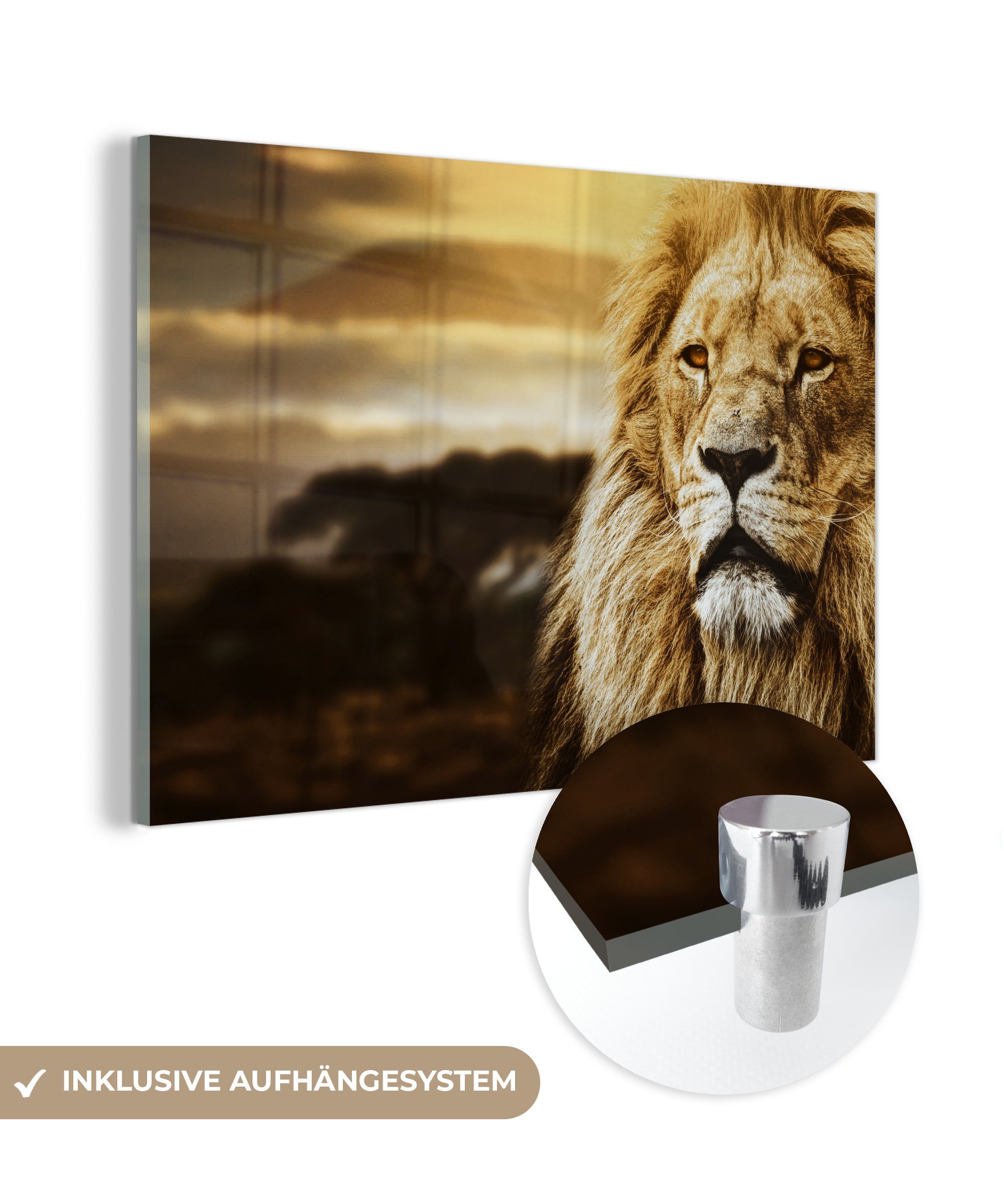 MuchoWow Acrylglasbild Wildes Tier - Sonnenuntergang - Afrika, (1 St), Glasbilder - Bilder auf Glas Wandbild - Foto auf Glas - Wanddekoration