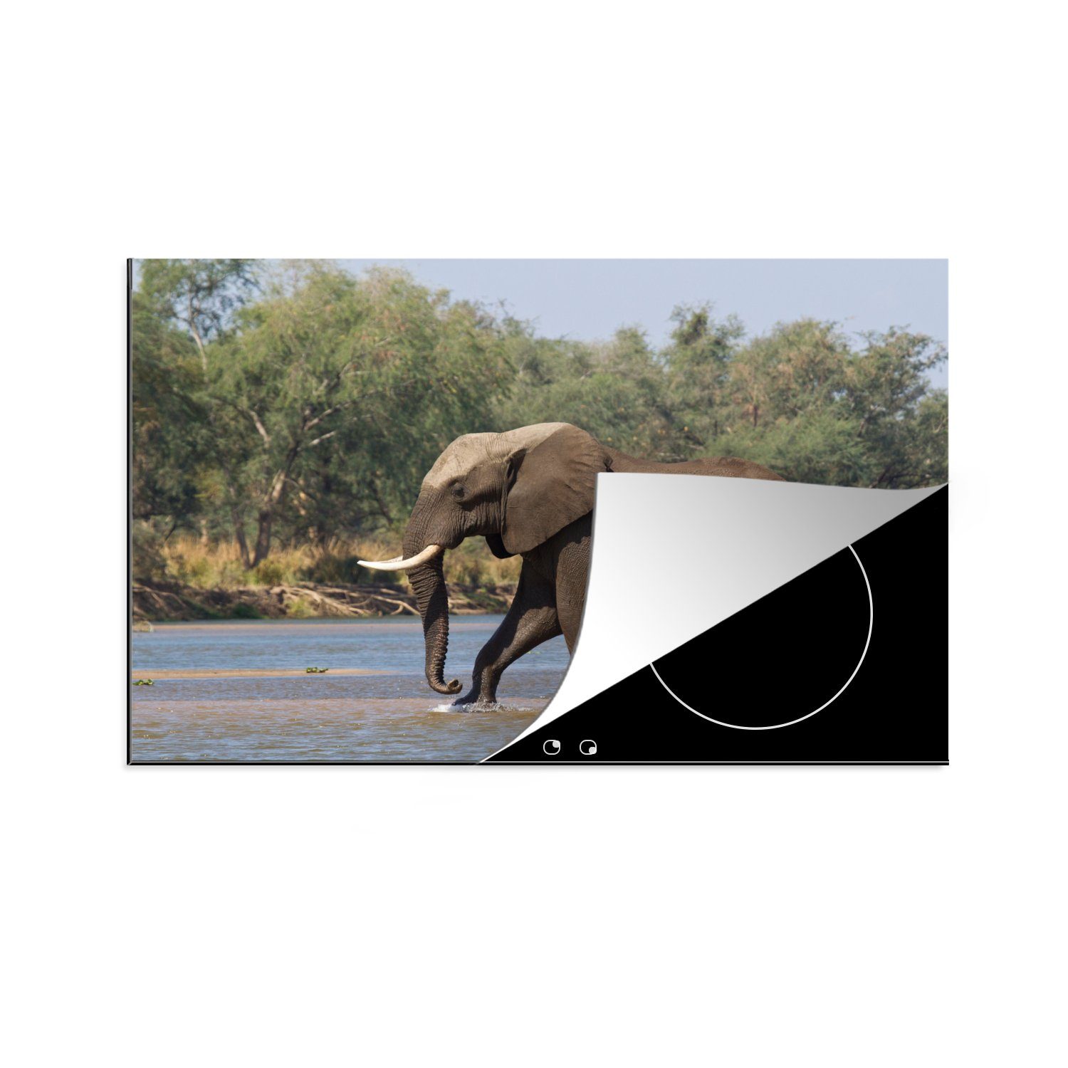 MuchoWow Herdblende-/Abdeckplatte Ein Elefant überquert den Sambesi-Fluss im Lower Zambezi National Park, Vinyl, (1 tlg), 81x52 cm, Induktionskochfeld Schutz für die küche, Ceranfeldabdeckung