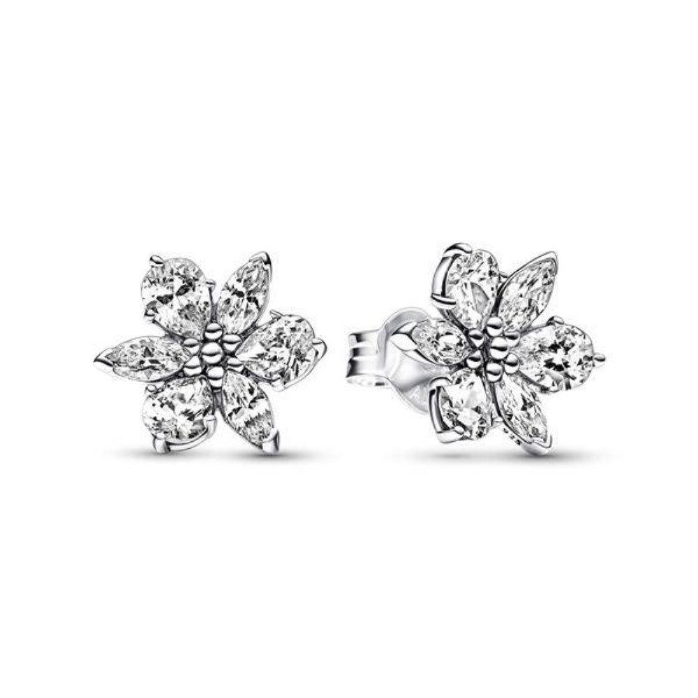 Pandora Paar Ohrstecker 292633C01 günstig online kaufen