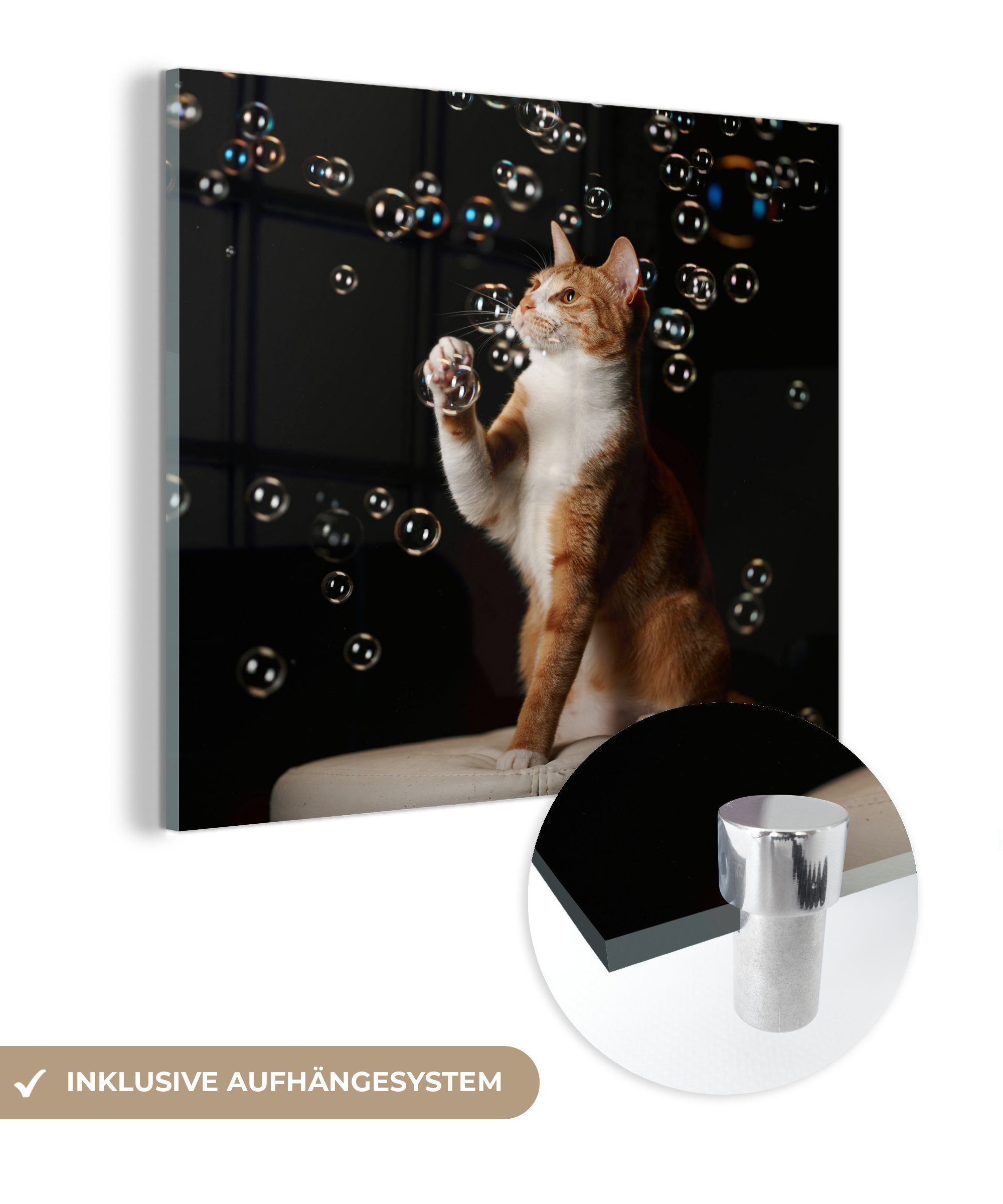 MuchoWow Acrylglasbild Rote Katze mit Blasen, (1 St), Glasbilder - Bilder auf Glas Wandbild - Foto auf Glas - Wanddekoration