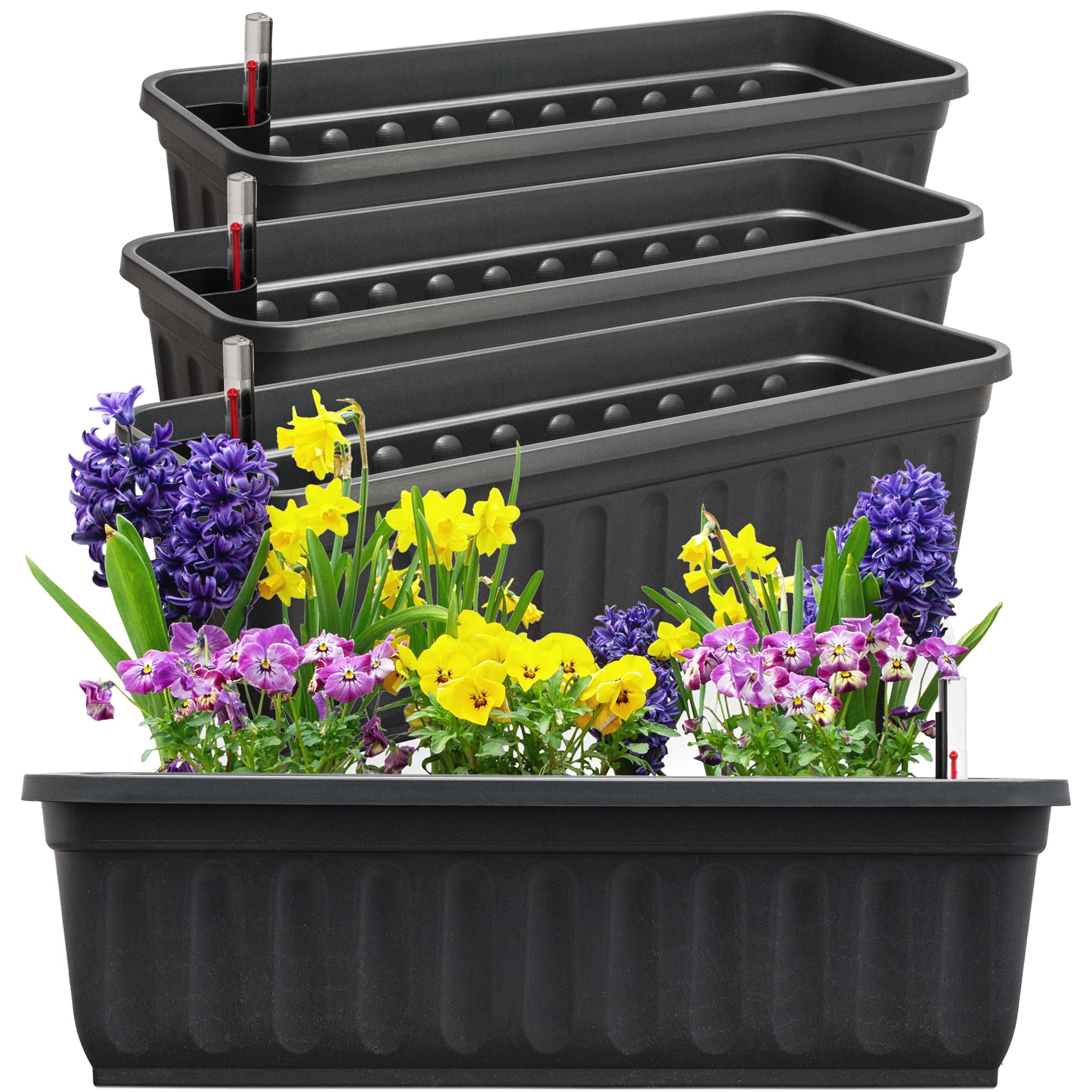 Hausfelder Blumenkasten Balkonkasten mit Wasserstandsanzeiger, Pflanzkasten günstig online kaufen