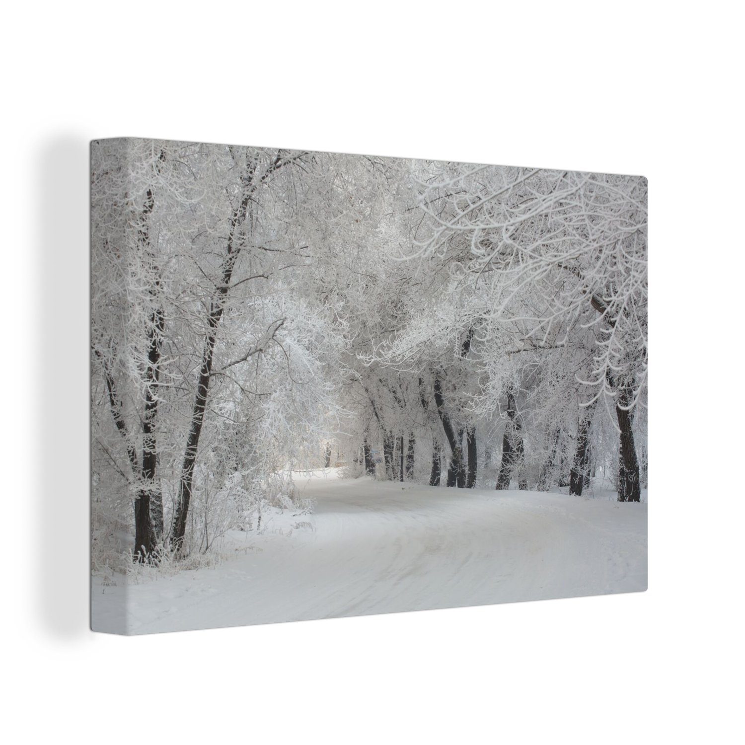 OneMillionCanvasses® Leinwandbild Bäume - Schnee - Winter, (1 St), Wandbild für alle Wohnbereiche, Gemälde, XXL, großes, 120x80 cm