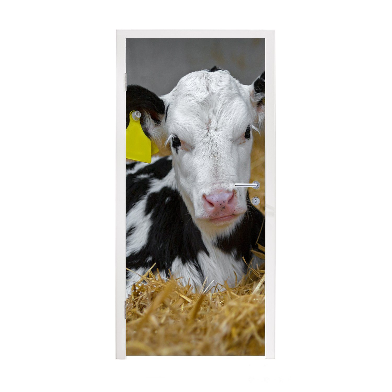 MuchoWow Türtapete Kuh - Stroh (1 Kalb Tier, - Tür, Fototapete - Matt, Türaufkleber, 75x205 bedruckt, für cm St)