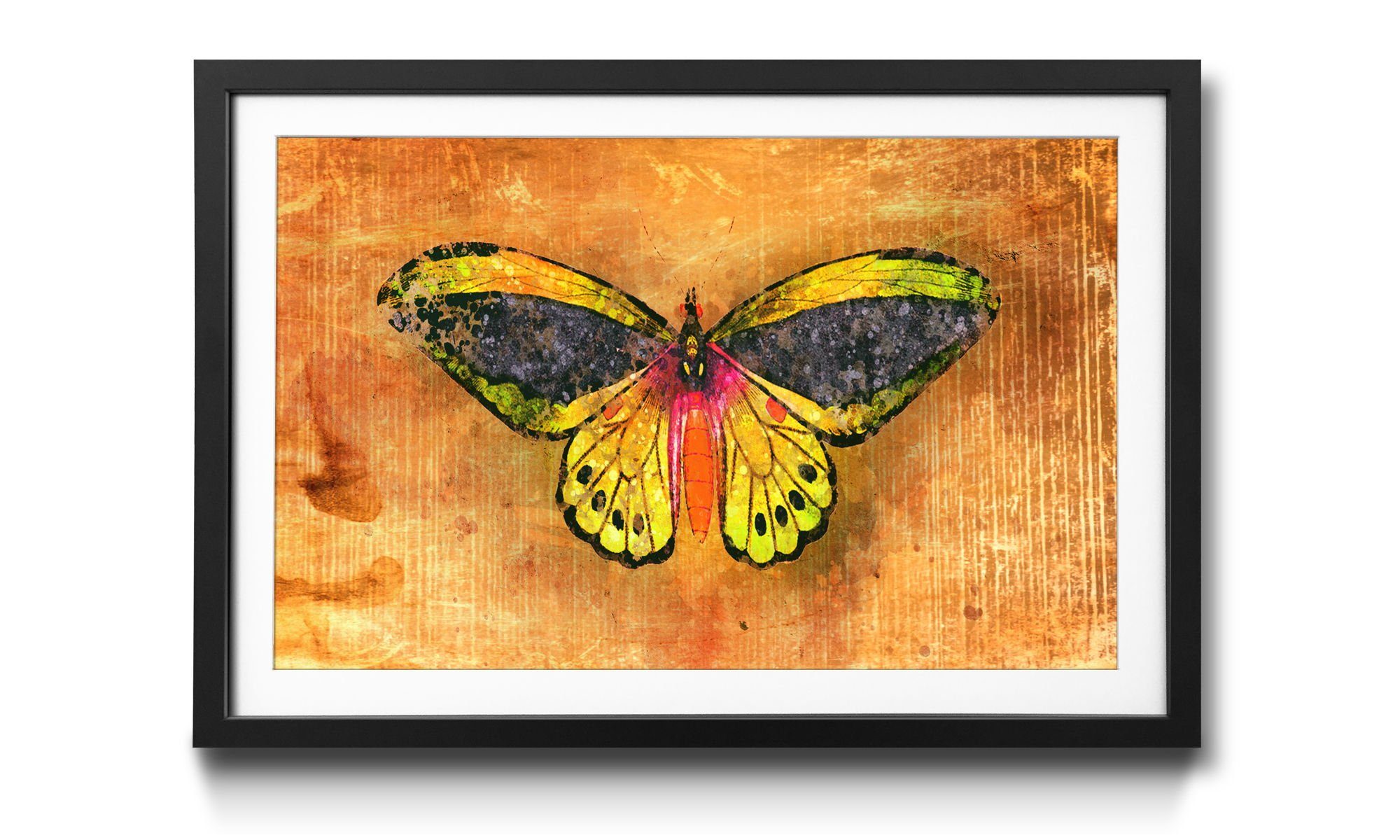 Rahmen in Lemon, Happy Schmetterling, erhältlich WandbilderXXL Bild 4 mit Wandbild, Größen