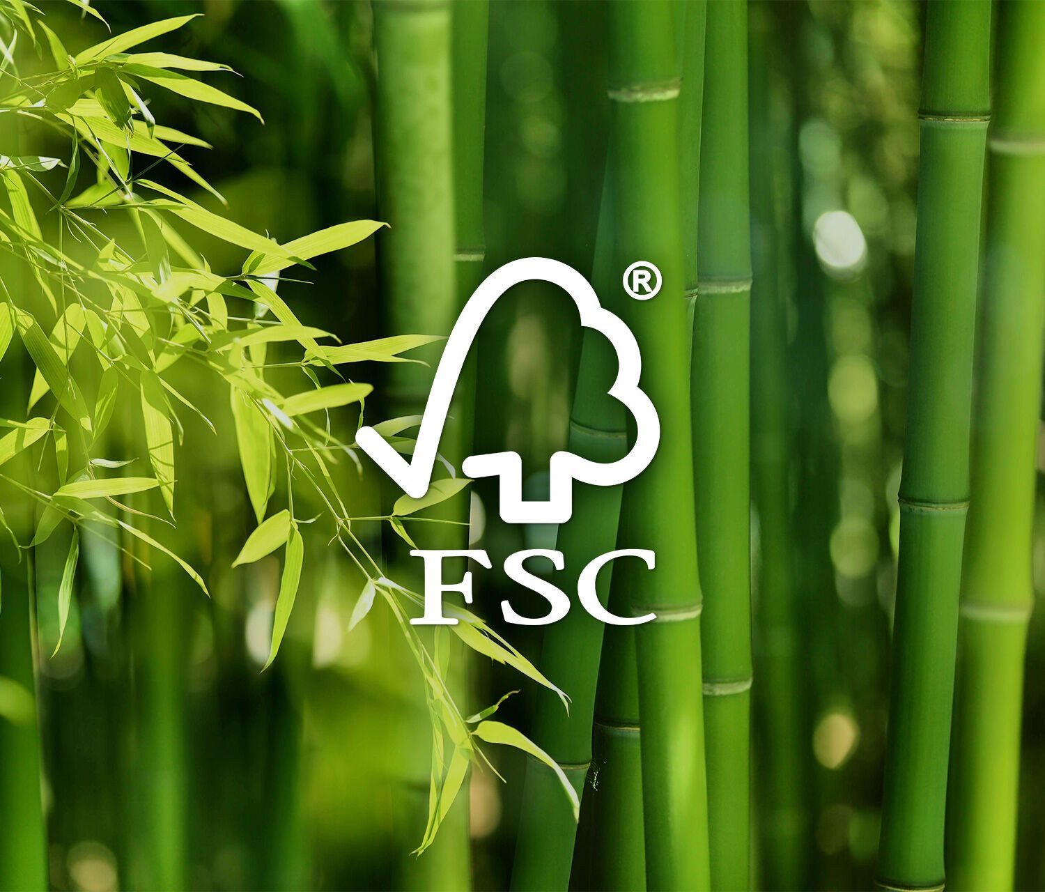 Ergolutions Tischplatte Bambus Echtholzplatte, 3 Größen / Nachhaltig / Robust / Tischplatte