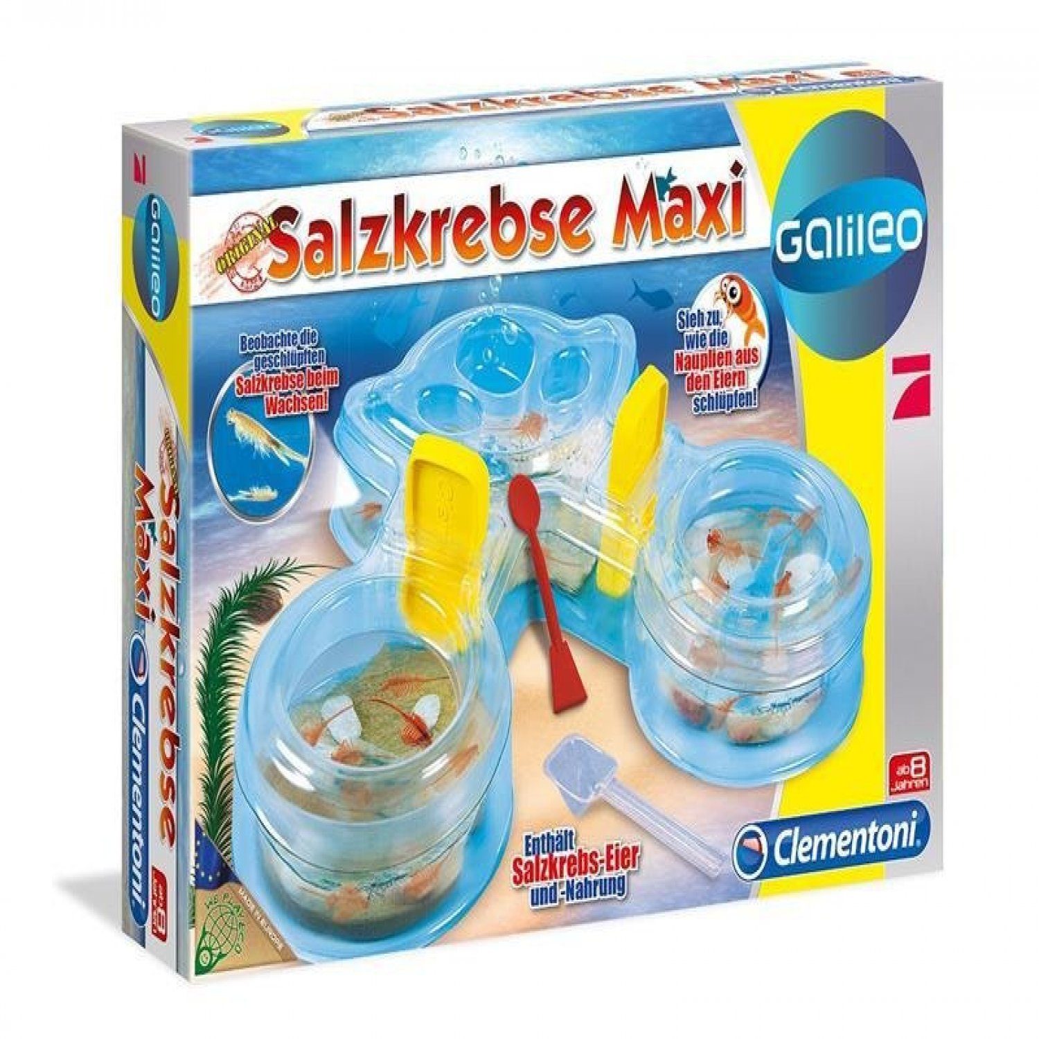 Clementoni® Spiel, Clementoni Galileo Salzkrebse Maxi, Entdeckerspielzeug