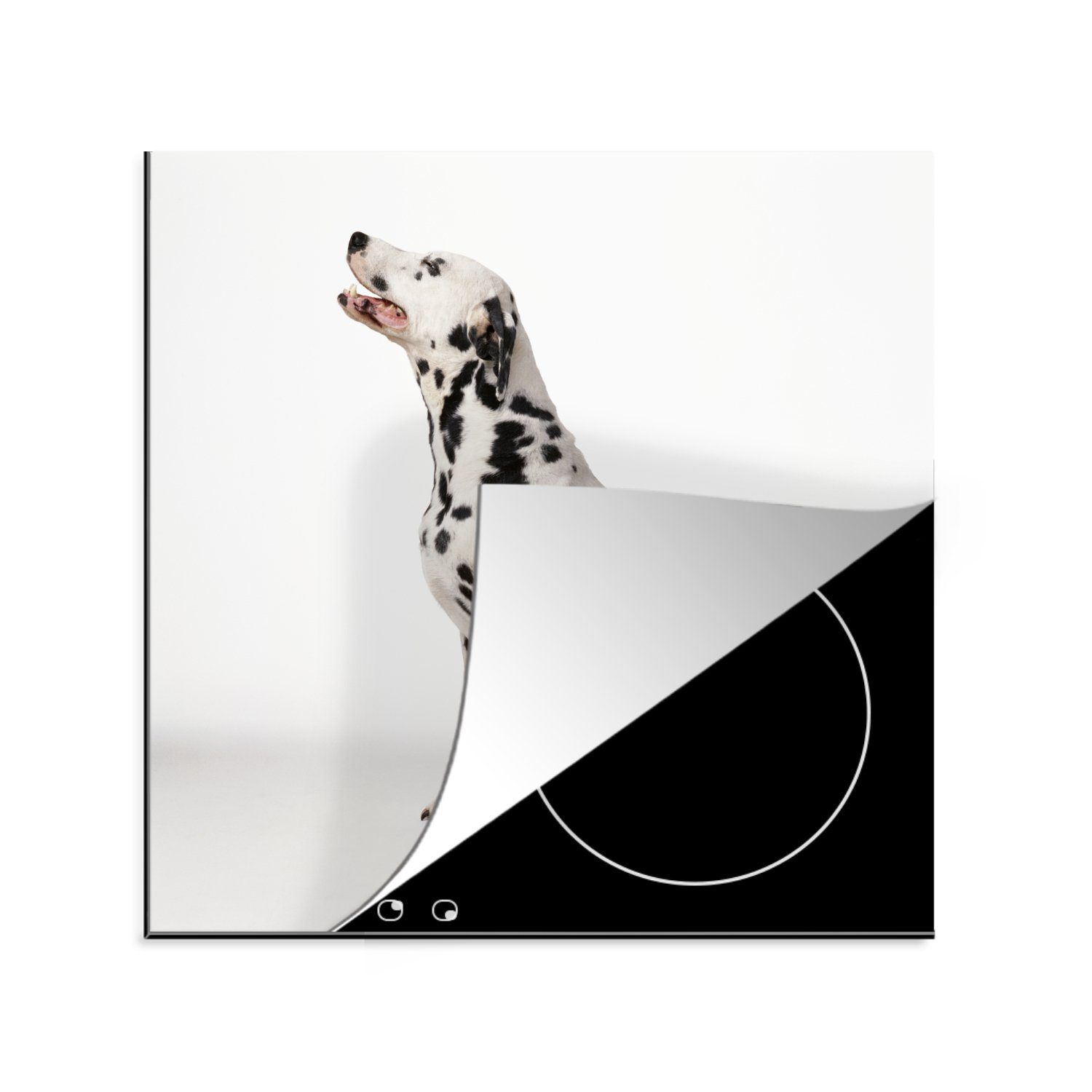 MuchoWow Herdblende-/Abdeckplatte Dalmatiner auf weißem Hintergrund, Vinyl, (1 tlg), 78x78 cm, Ceranfeldabdeckung, Arbeitsplatte für küche