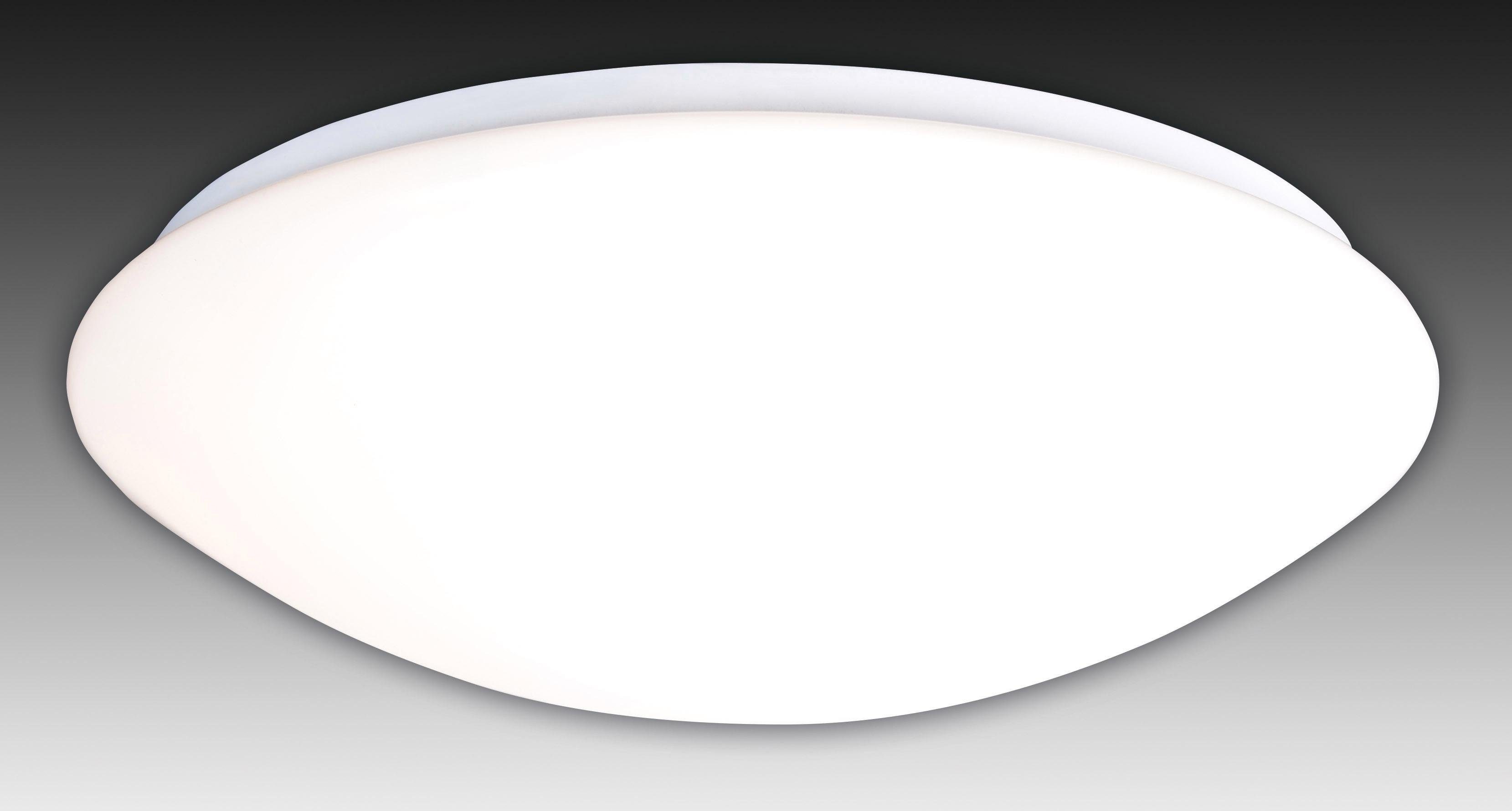 näve LED Deckenleuchte Bern, Dimmfunktion, mehrere günstig online kaufen