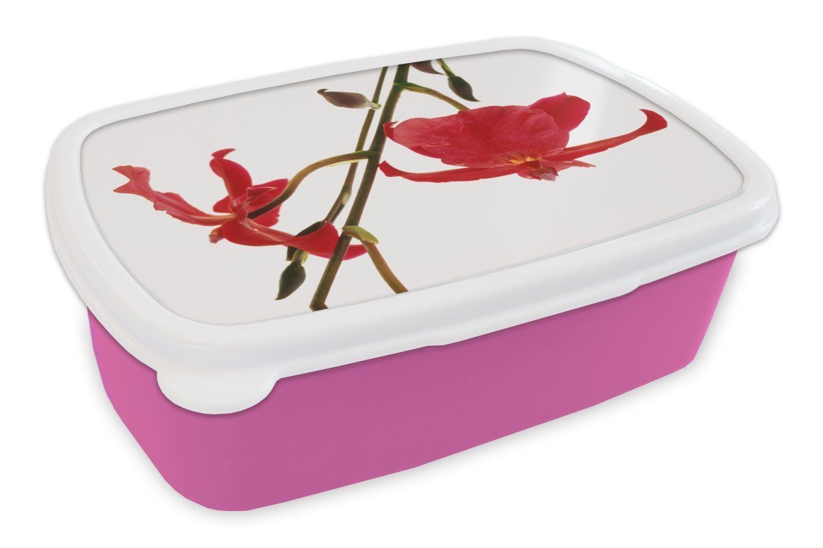 MuchoWow Lunchbox Zwei rote Orchideen vor einem weißen Hintergrund, Kunststoff, (2-tlg), Brotbox für Erwachsene, Brotdose Kinder, Snackbox, Mädchen, Kunststoff rosa | Lunchboxen