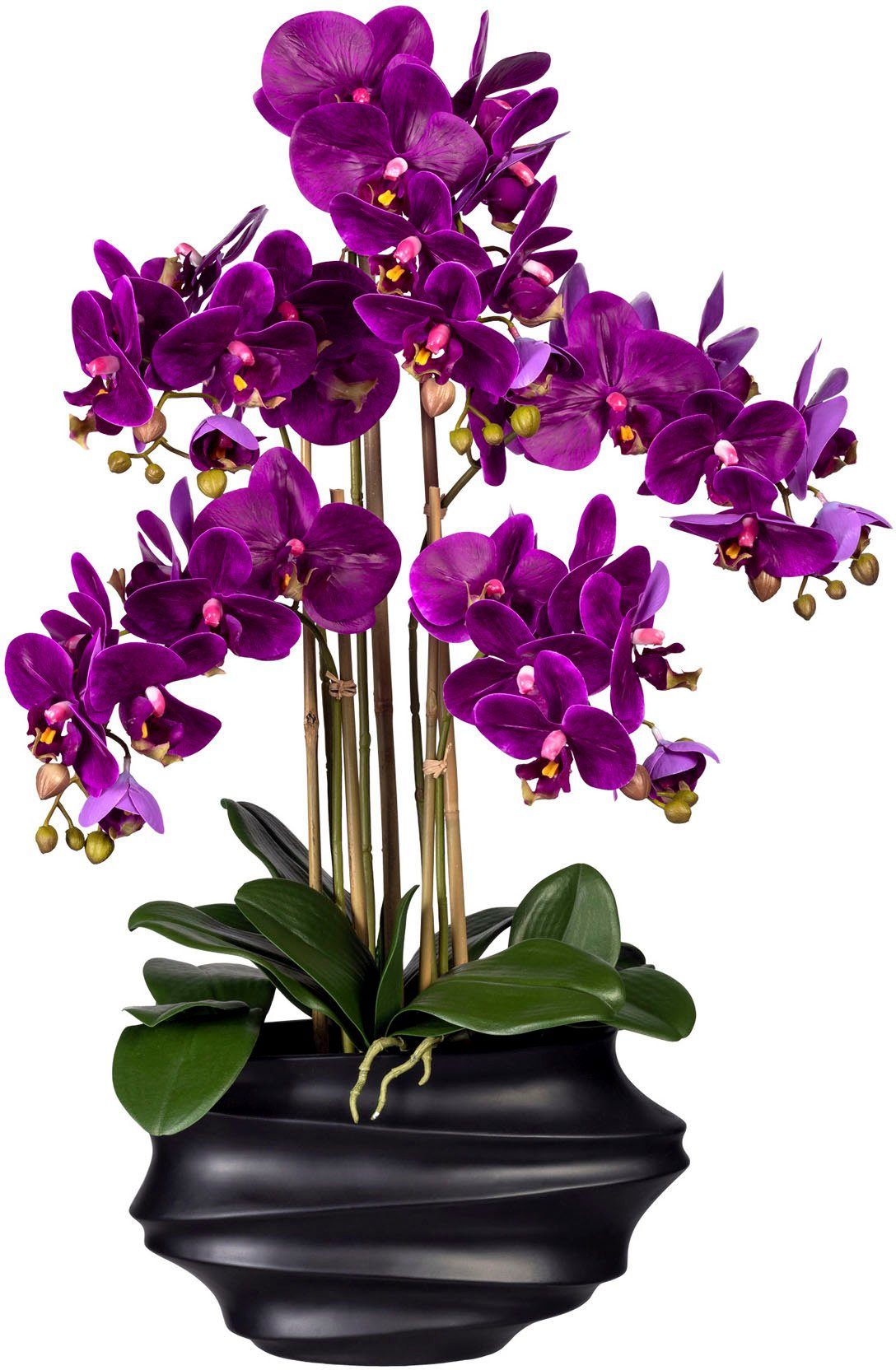 Kunstorchidee cm, in 75 Phalaenopsis, Orchidee Design-Kunststoffvase lila Höhe Creativ Phalaenopsis green,