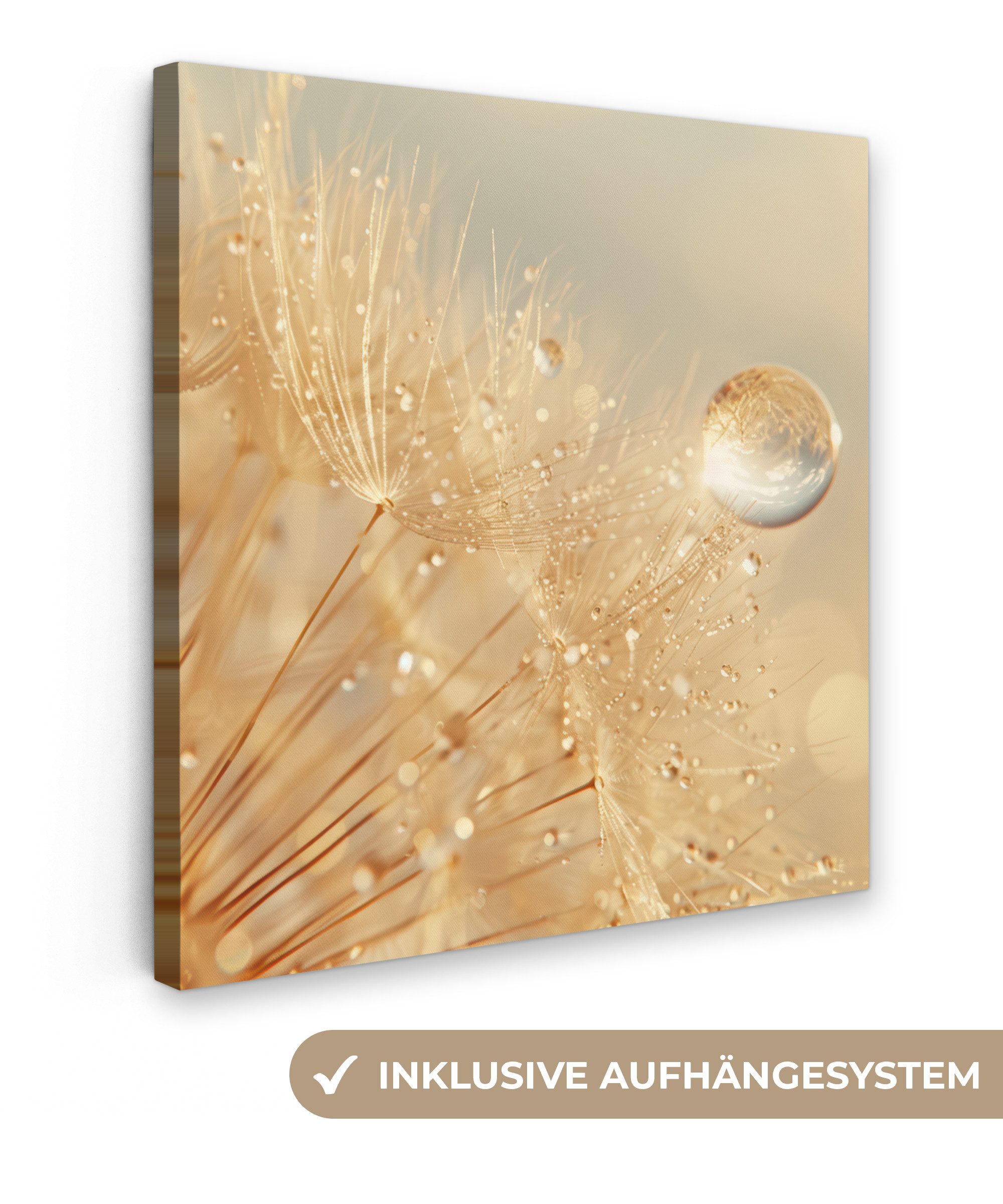 OneMillionCanvasses® Leinwandbild Löwenzahn - Wasser - Natur - Pflanzen - M günstig online kaufen