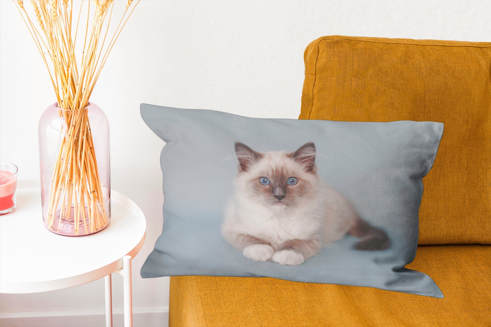 mit Katze Dekokissen - Ragdoll Jungen - Wohzimmer Mädchen Katze - Blau Kind, Dekoration, Dekokissen - MuchoWow - Füllung, - Zierkissen, Kinder Schlafzimmer