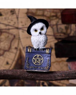 Horror-Shop Dekofigur Weiße Eule auf Hexenbuch mit Pentagramm 12,5 cm