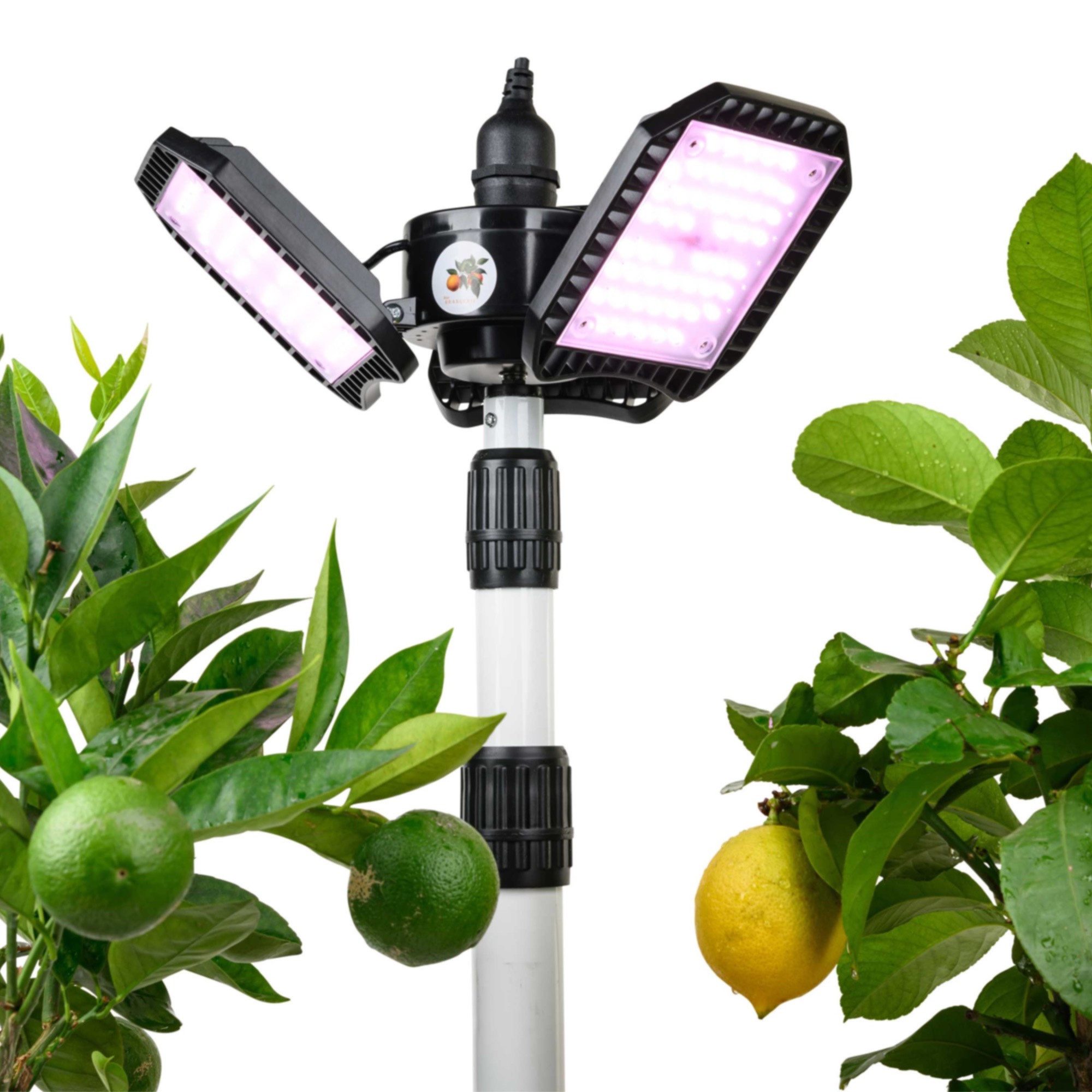 Meine Orangerie Pflanzenlampe FLEX – Spezialleuchte zur Überwinterung von Pflanzen, LED fest integriert, 450-750nm, LED-Pflanzenlampe Speziallichtquelle
