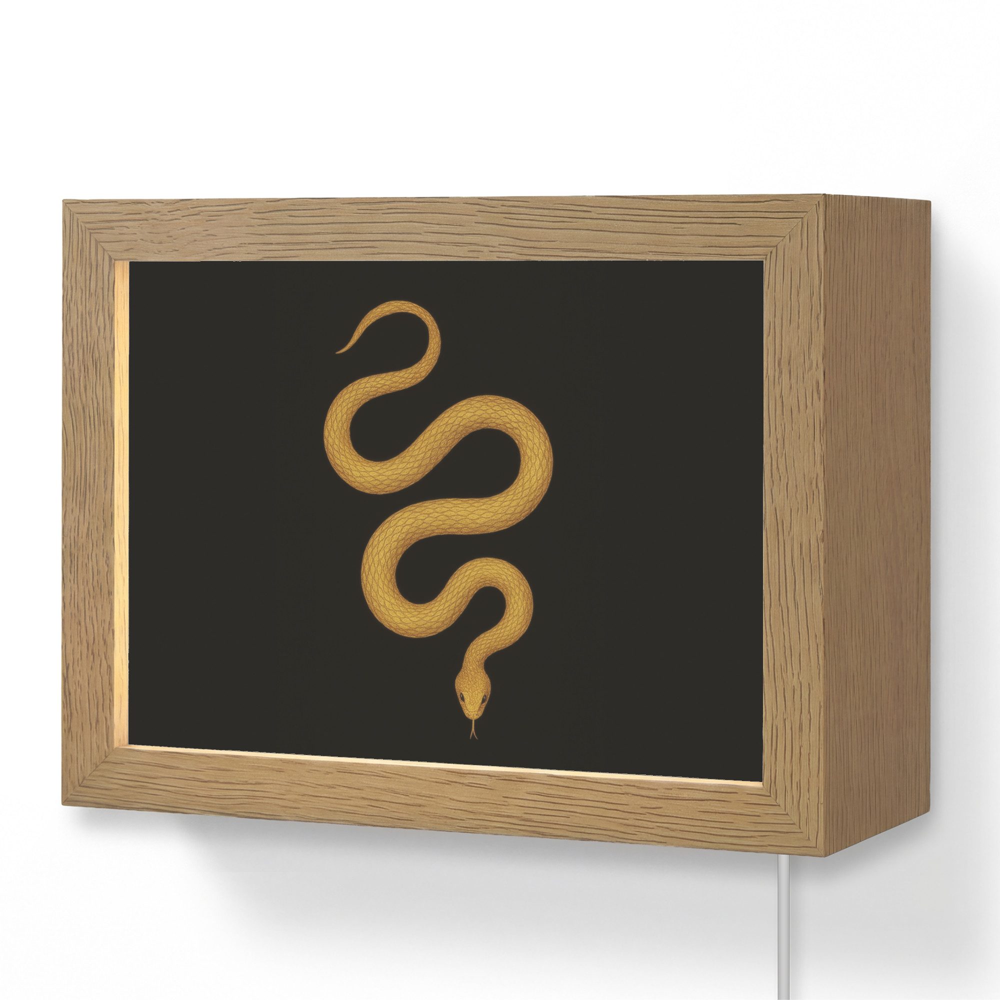 Wandleuchte Lightbox Schlange - Minimalistisch - Gold