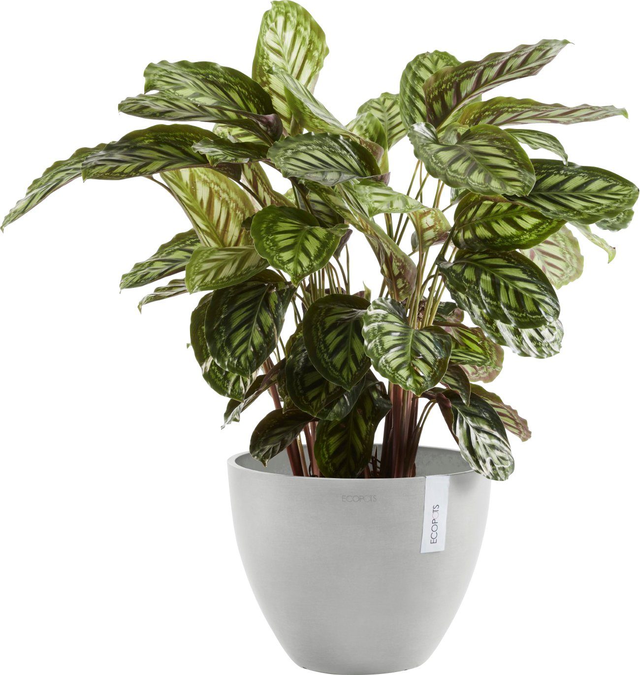 ECOPOTS Blumentopf ANTWERP White Grey, 30x30x25,5 cm BxTxH