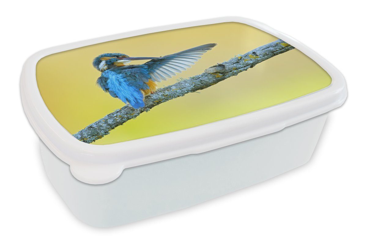 MuchoWow Lunchbox Eisvogel - Zweig - Blau, Kunststoff, (2-tlg), Brotbox für Kinder und Erwachsene, Brotdose, für Jungs und Mädchen weiß