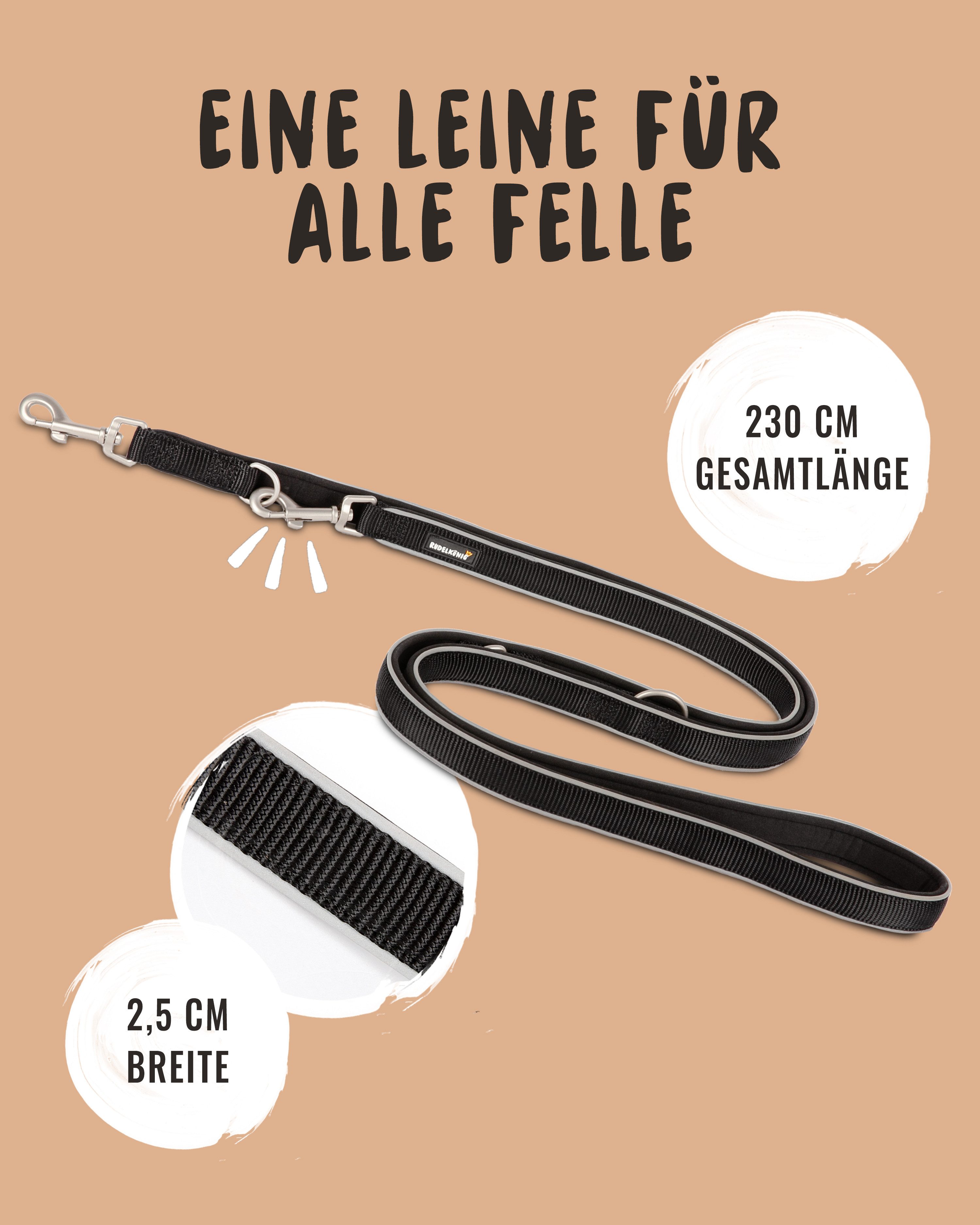 Rudelkönig Hundeleine Reflektierende Hundeleine Paola, Verstellbare 2,30m Führleine, Nylon, Neopren (1-tlg), Für mittlere und große Hunde