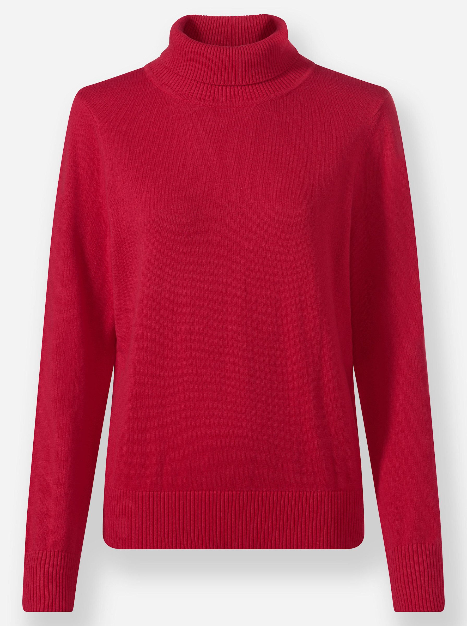 Strickpullover Rollkragenpullover .