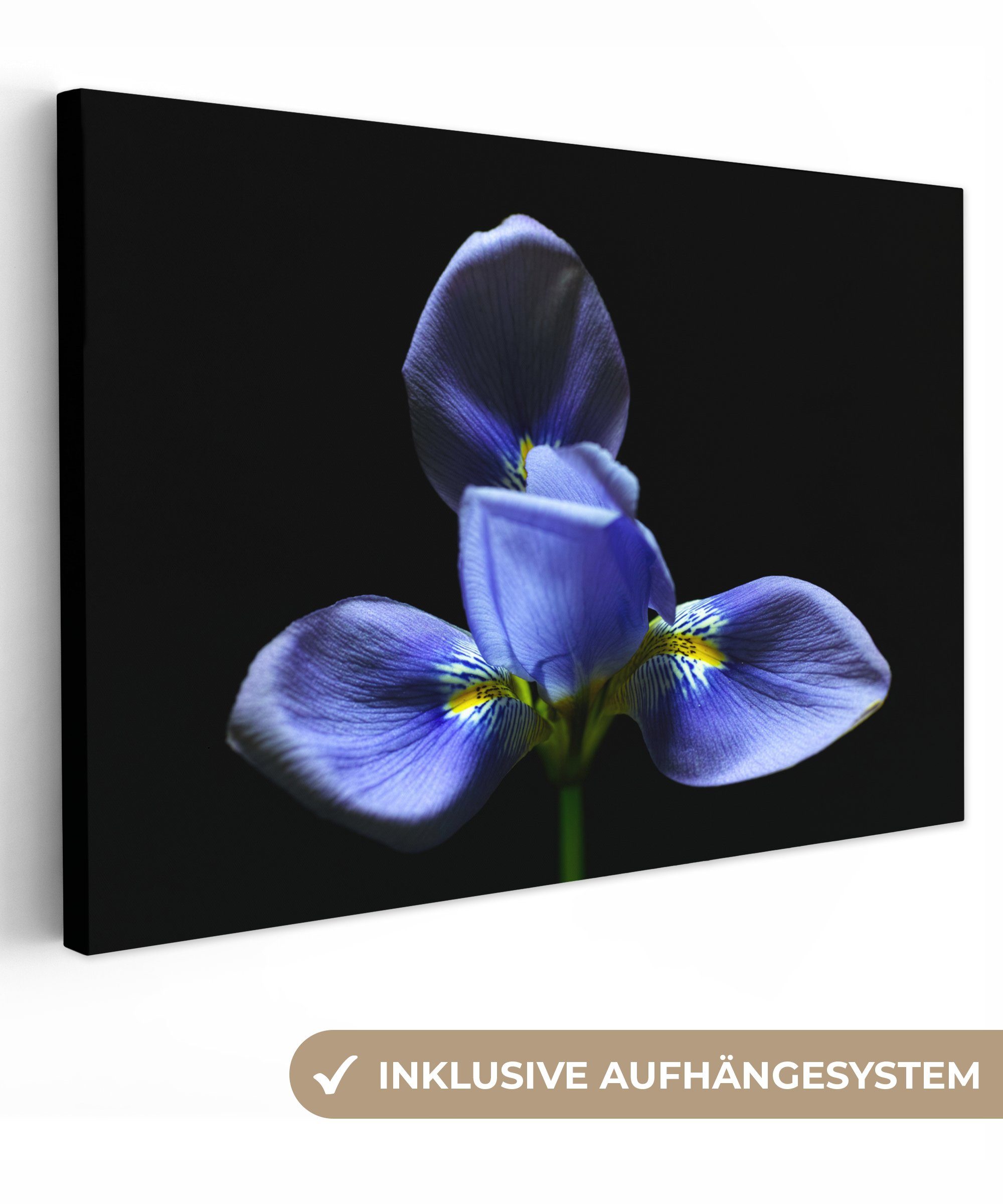 St), für Wandbild Leinwandbilder, Wanddeko, Iris OneMillionCanvasses® schwarzen Aufhängefertig, (1 30x20 Leinwandbild cm Hintergrund,