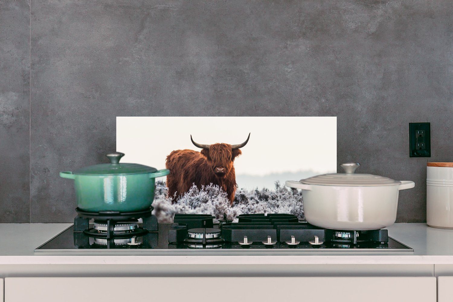 (1-tlg), Schottischer und Hochländer Küchen - - Schmutzflecken MuchoWow Fett Weiß, Küchenrückwand für Wandschutz, cm, Tier - Natur gegen 60x30