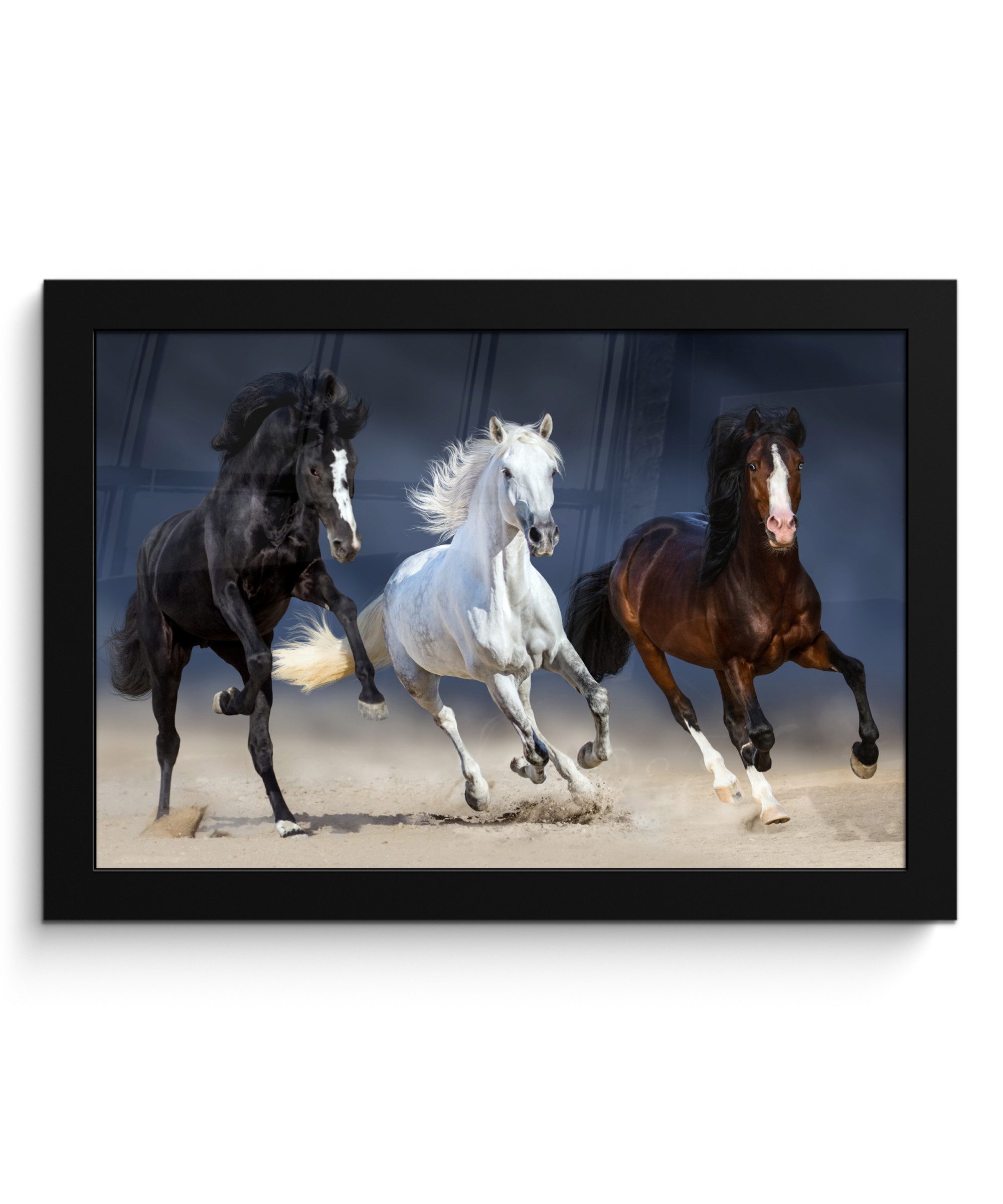 Poster Pferde - Tiere - Sand
