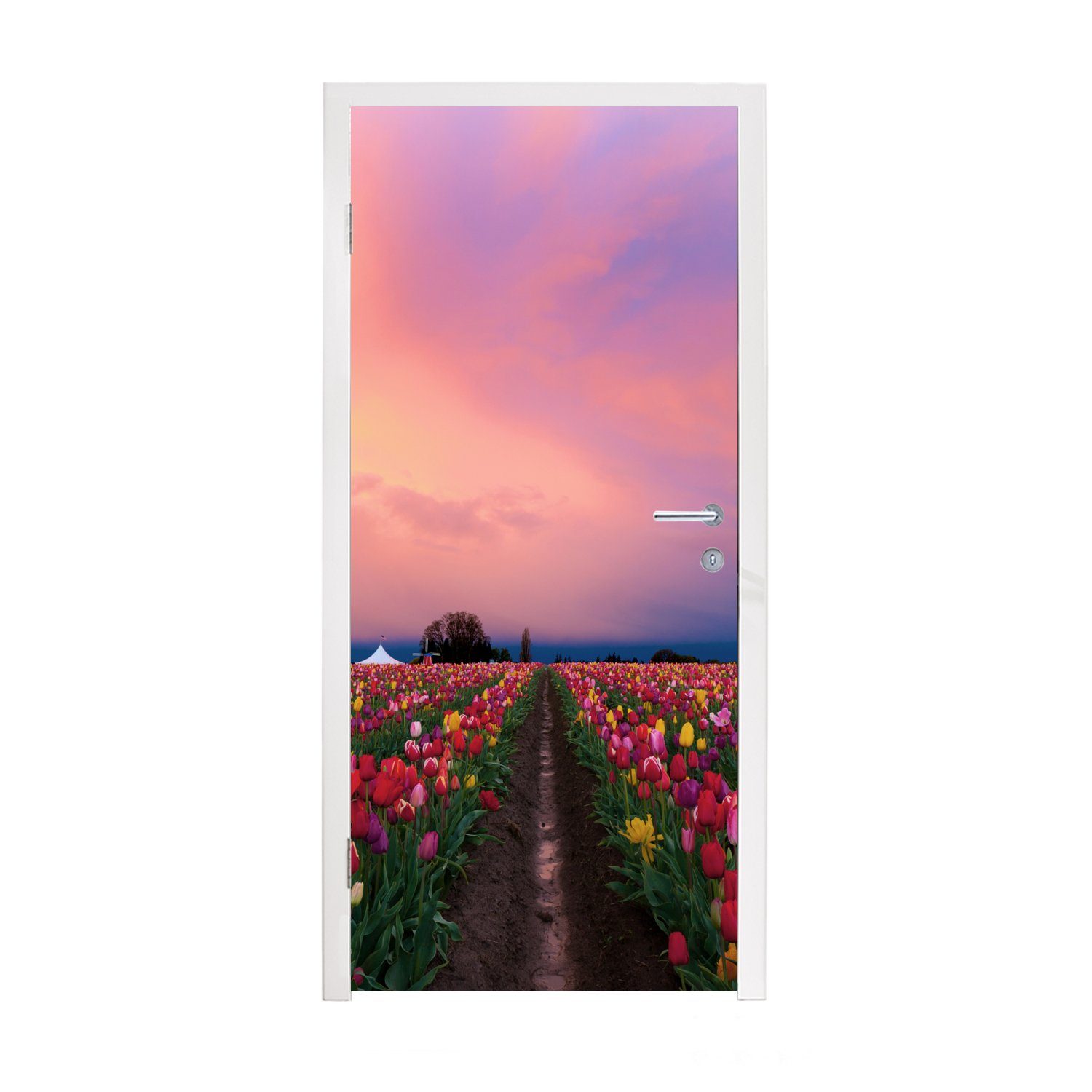 MuchoWow Türtapete Sonnenuntergang auf dem Tulpenfeld, Matt, bedruckt, (1 St), Fototapete für Tür, Türaufkleber, 75x205 cm