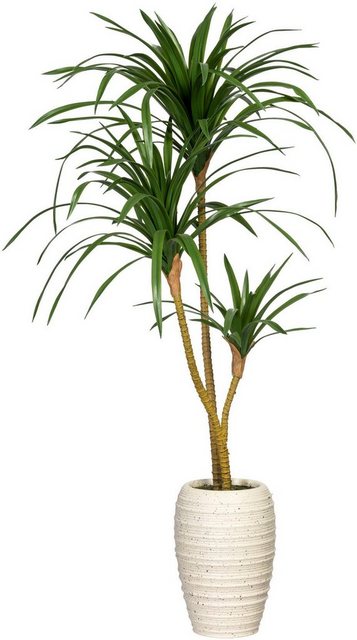 Künstliche Zimmerpflanze »Dracaena marginata« Dracaena marginata, Creativ green, Höhe 100 cm, in Keramikvase-Otto