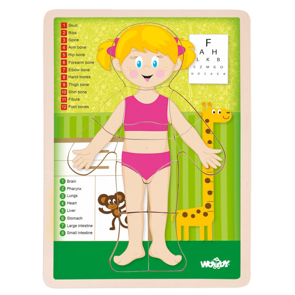 WrapUp Toys Spiel Puzzle ''Menschlicher Körper'' - Mädchen DE