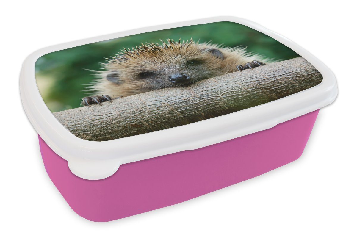 MuchoWow Lunchbox Igel beißt Holz, Kunststoff, (2-tlg), Brotbox für Erwachsene, Brotdose Kinder, Snackbox, Mädchen, Kunststoff rosa