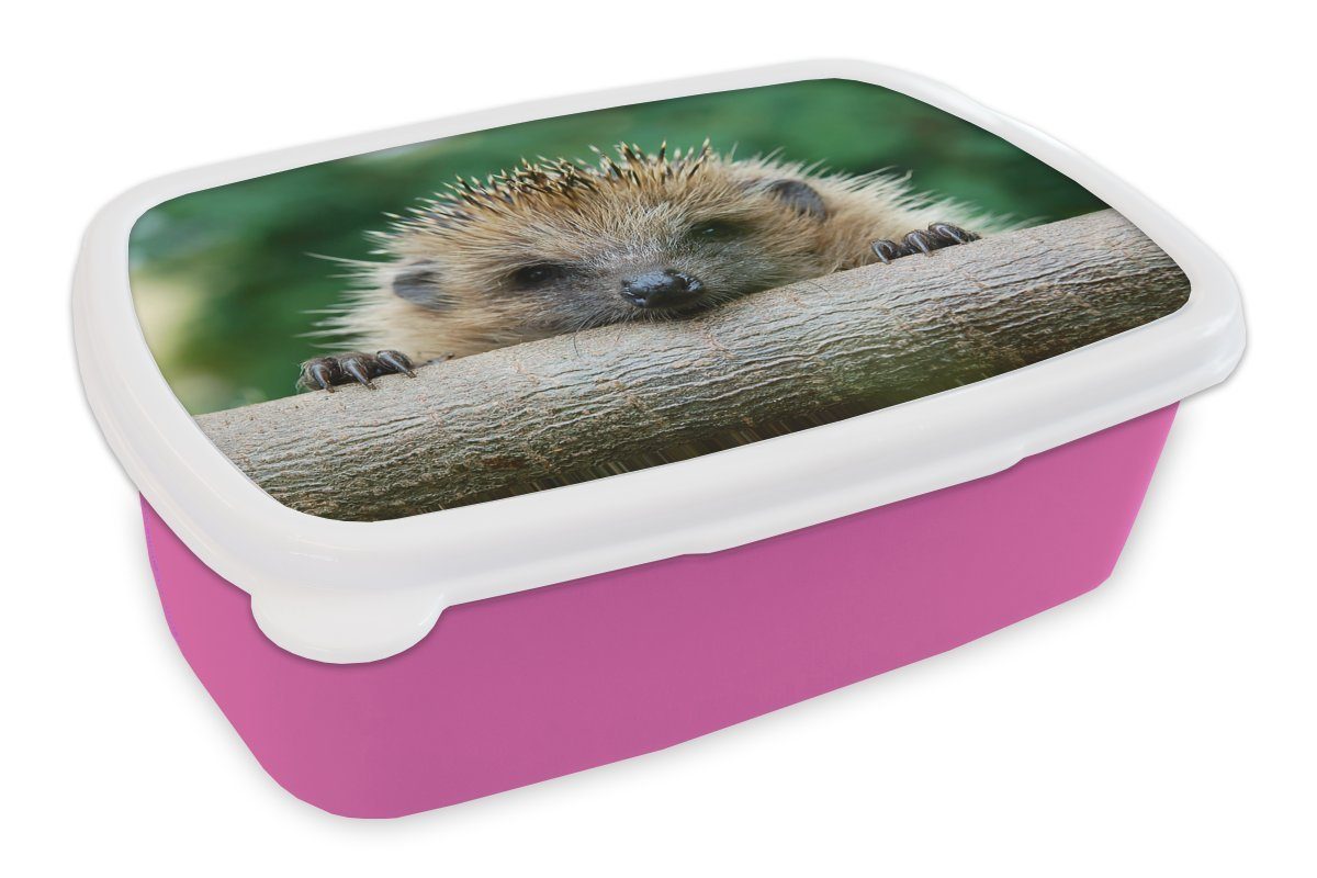 Brotdose Kunststoff beißt Erwachsene, Snackbox, Lunchbox Igel für Kunststoff, Mädchen, Holz, Brotbox rosa Kinder, MuchoWow (2-tlg),