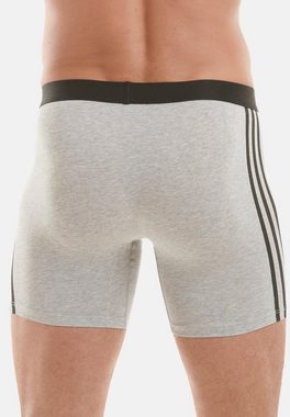 adidas Sportswear Retro Boxer Active Flex Cotton 3 Stripes (Spar-Set, 3-St) Long Short / Pant - Baumwolle - Ohne Eingriff -