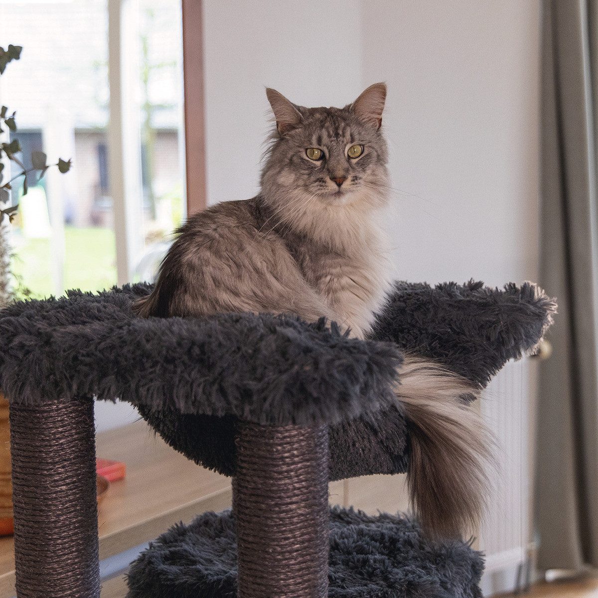 Beeztees Kratzbaum-Liegemulde Oberes Board + Hängematte für Kratzbaum Duco grau