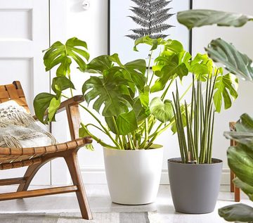 Dehner Blumentopf Mila mit Bewässerungs-System, Ø 30/35/39 cm, Intelligenter Kunststofftopf, komfortable Pflege für Zimmerpflanzen