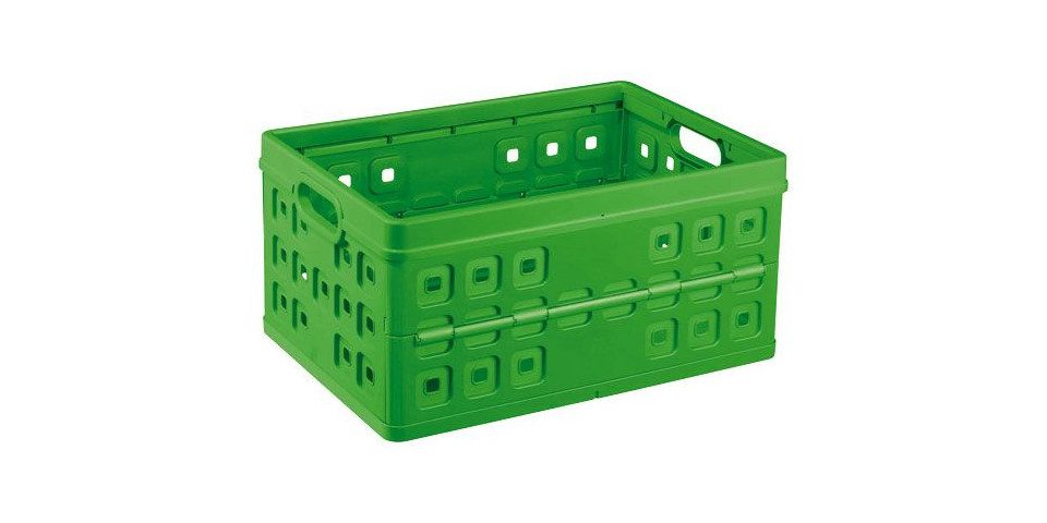 Sunware Klappbox Sunware Klappbox Square 46L grün 54 x 38 x 26,5 cm