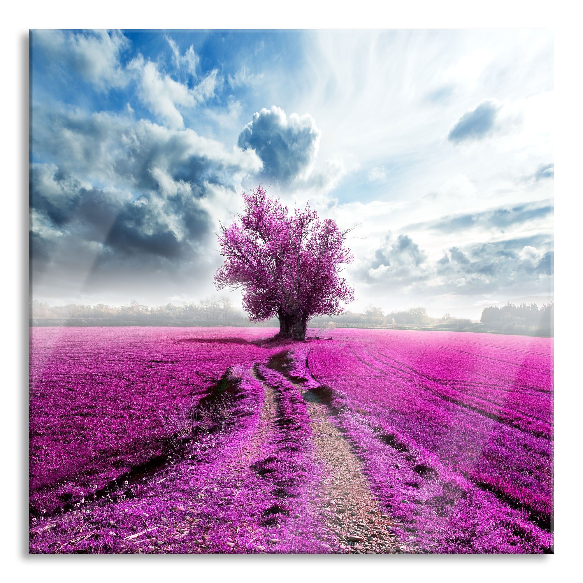 Pixxprint Glasbild Pinkes Feld mit pinkem Baum, Pinkes Feld mit pinkem Baum (1 St), Glasbild aus Echtglas, inkl. Aufhängungen und Abstandshalter