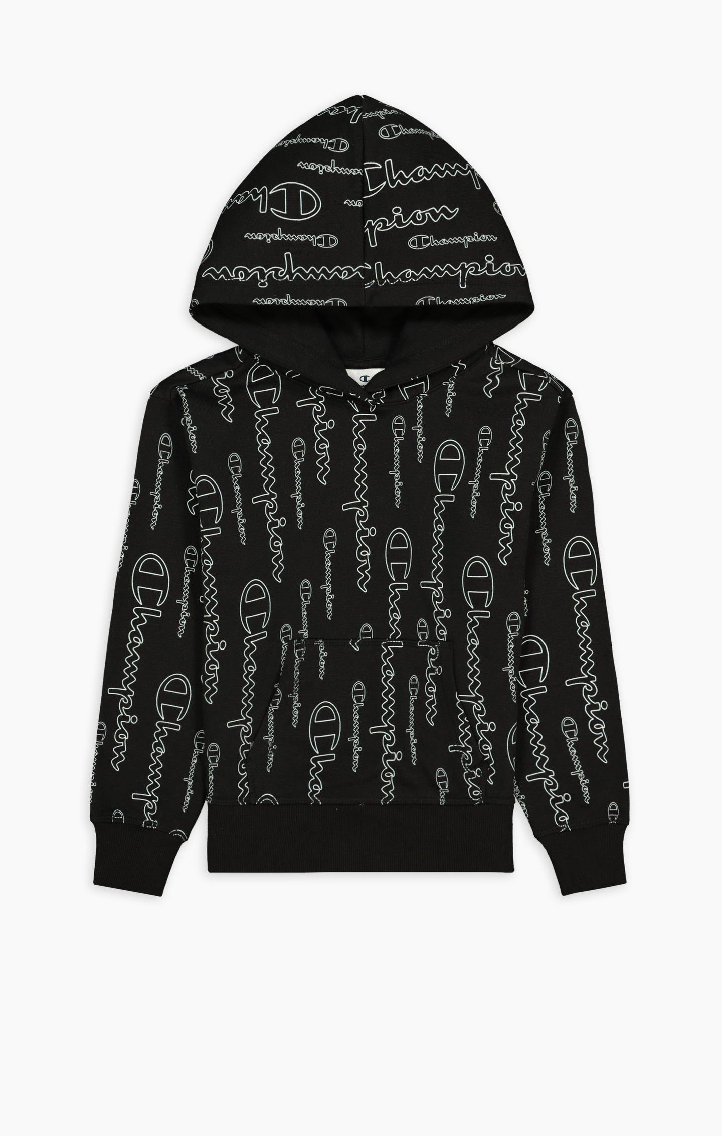 Champion Kapuzenpullover Hoodie American Classic Champion günstig online kaufen