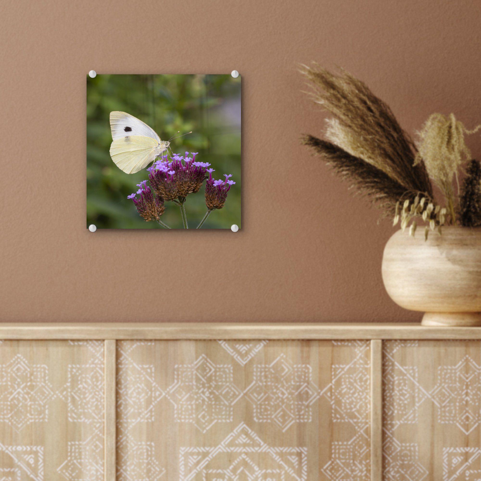 - auf Bilder auf Acrylglasbild (1 Blüten, Glas - MuchoWow Wanddekoration kleinen auf Glas Wandbild St), - Glasbilder Foto Kohlweißling lila