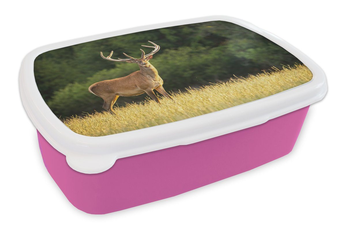MuchoWow Lunchbox Hirsch - Geweih - Gras - Natur - Tiere - Grün, Kunststoff, (2-tlg), Brotbox für Erwachsene, Brotdose Kinder, Snackbox, Mädchen, Kunststoff rosa
